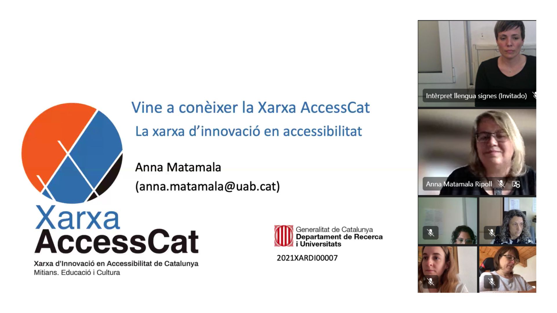 Captura de pantalla dels participants en el webinar